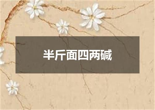 半斤面四两碱