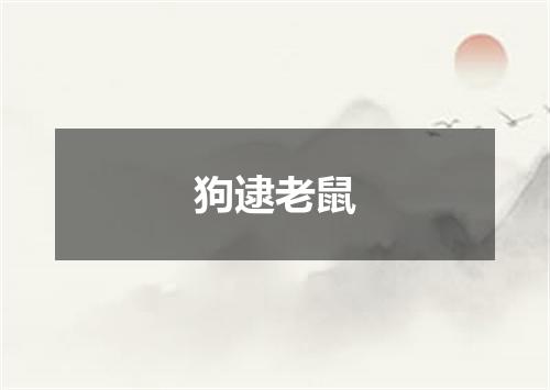 狗逮老鼠