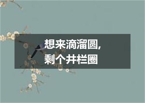 想来滴溜圆,剩个井栏圈