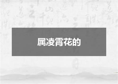 属凌霄花的