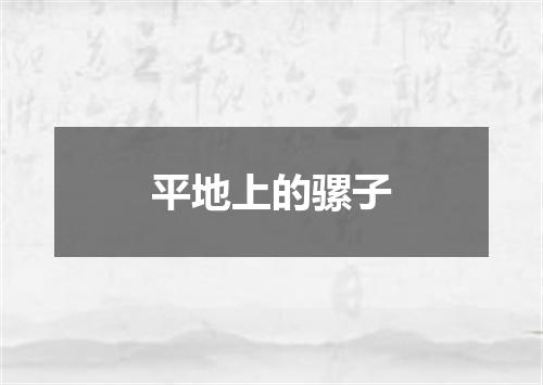 平地上的骡子