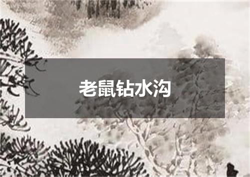老鼠钻水沟