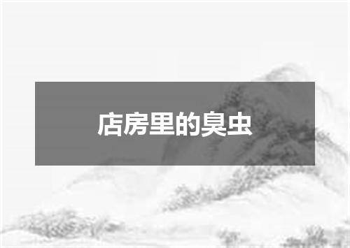 店房里的臭虫