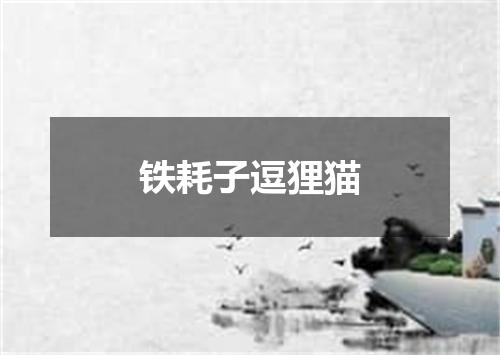 铁耗子逗狸猫