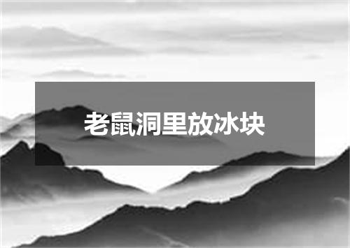 老鼠洞里放冰块