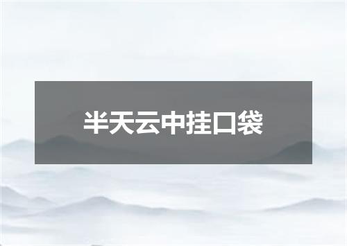 半天云中挂口袋