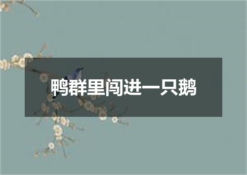 鸭群里闯进一只鹅