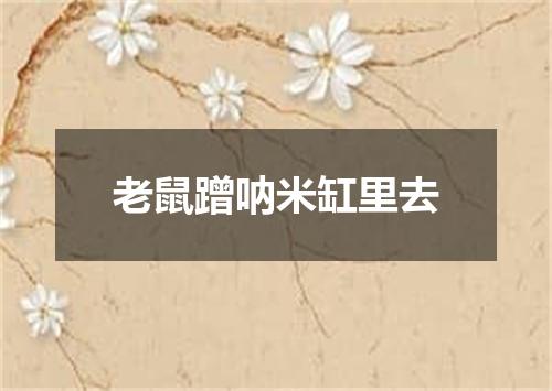 老鼠蹭呐米缸里去