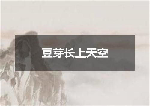 豆芽长上天空