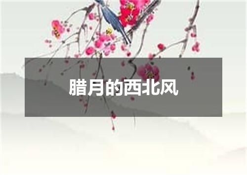 腊月的西北风
