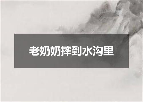 老奶奶摔到水沟里