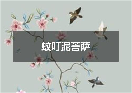 蚊叮泥菩萨