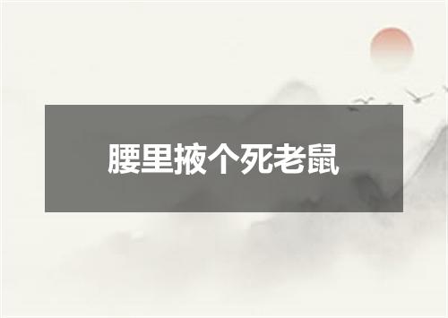 腰里掖个死老鼠