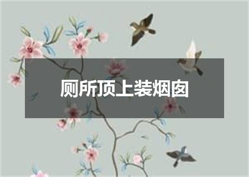 厕所顶上装烟囱