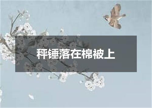 秤锤落在棉被上