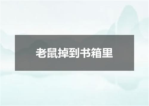 老鼠掉到书箱里