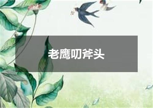 老鹰叨斧头