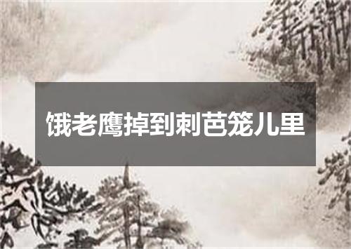 饿老鹰掉到刺芭笼儿里