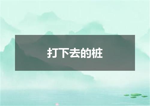 打下去的桩