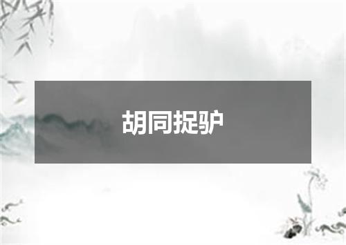 胡同捉驴