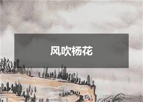 风吹杨花