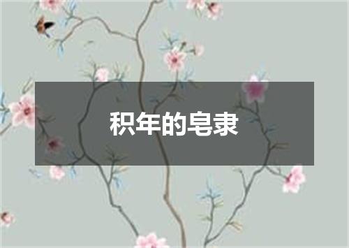 积年的皂隶