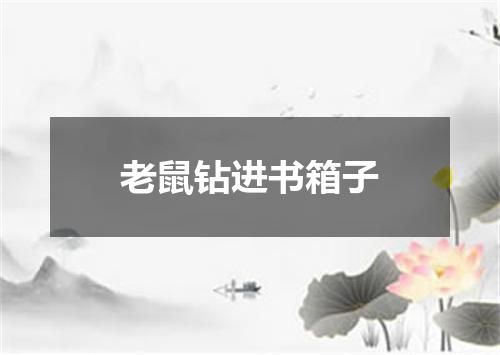 老鼠钻进书箱子