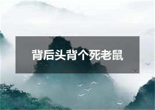 背后头背个死老鼠