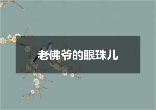 老佛爷的眼珠儿