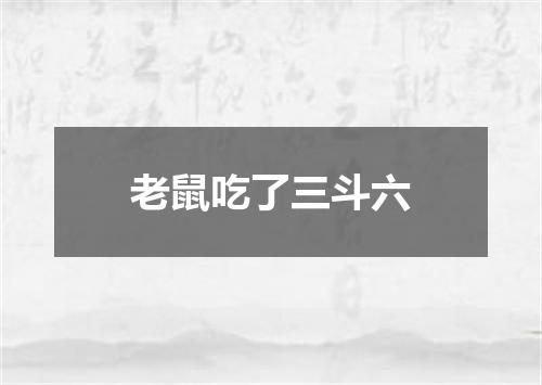 老鼠吃了三斗六