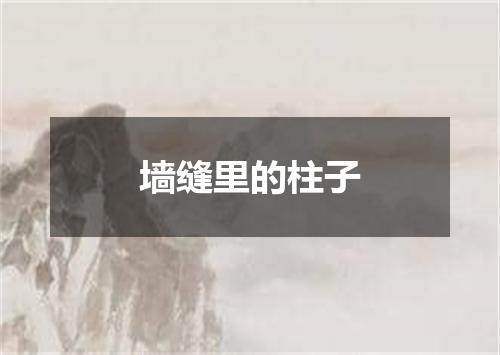 墙缝里的柱子