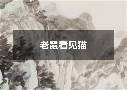 老鼠看见猫
