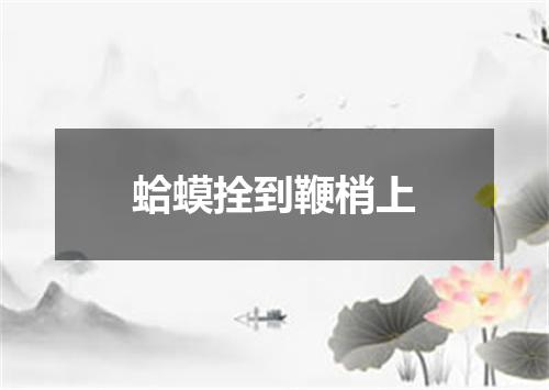 蛤蟆拴到鞭梢上