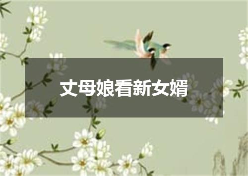 丈母娘看新女婿