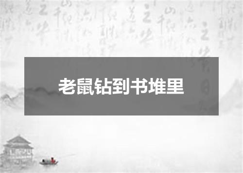 老鼠钻到书堆里