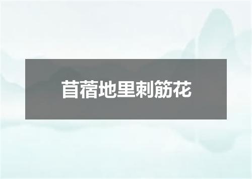 苜蓿地里刺筋花