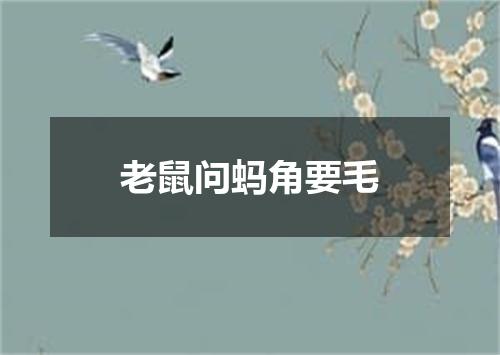 老鼠问蚂角要毛