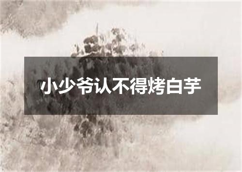 小少爷认不得烤白芋