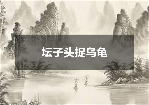 坛子头捉乌龟