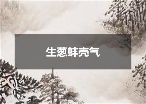 生葱蚌壳气