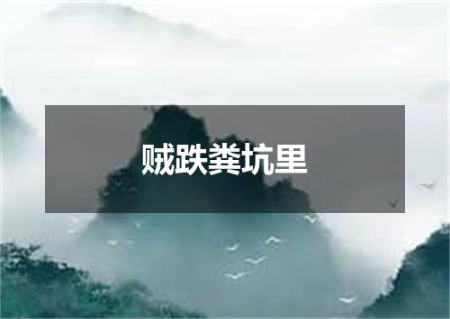 贼跌粪坑里