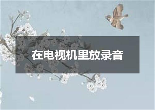 在电视机里放录音