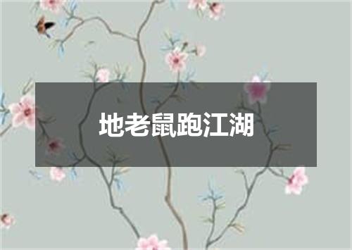 地老鼠跑江湖