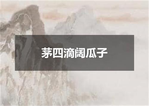 茅四滴阔瓜子