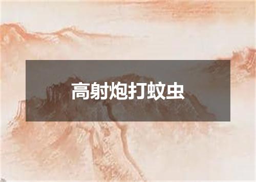 高射炮打蚊虫
