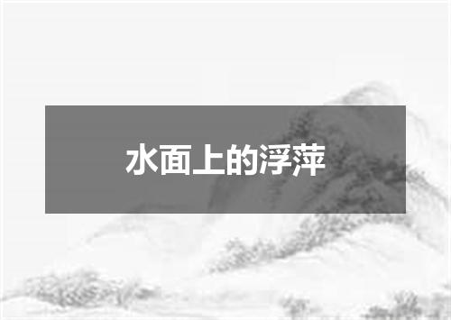 水面上的浮萍