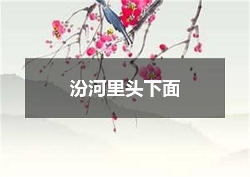 汾河里头下面