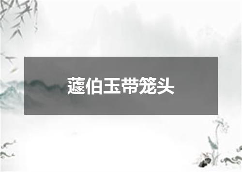 蘧伯玉带笼头