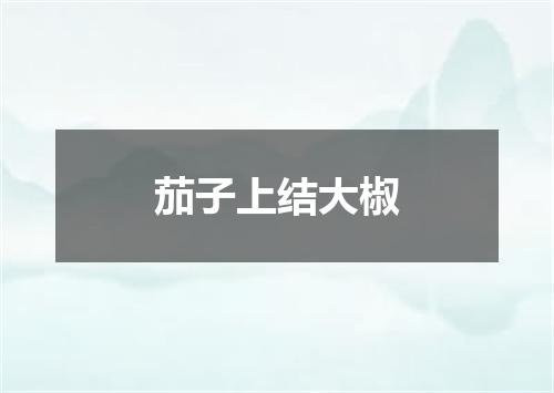 茄子上结大椒