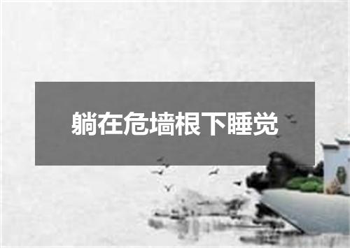 躺在危墙根下睡觉